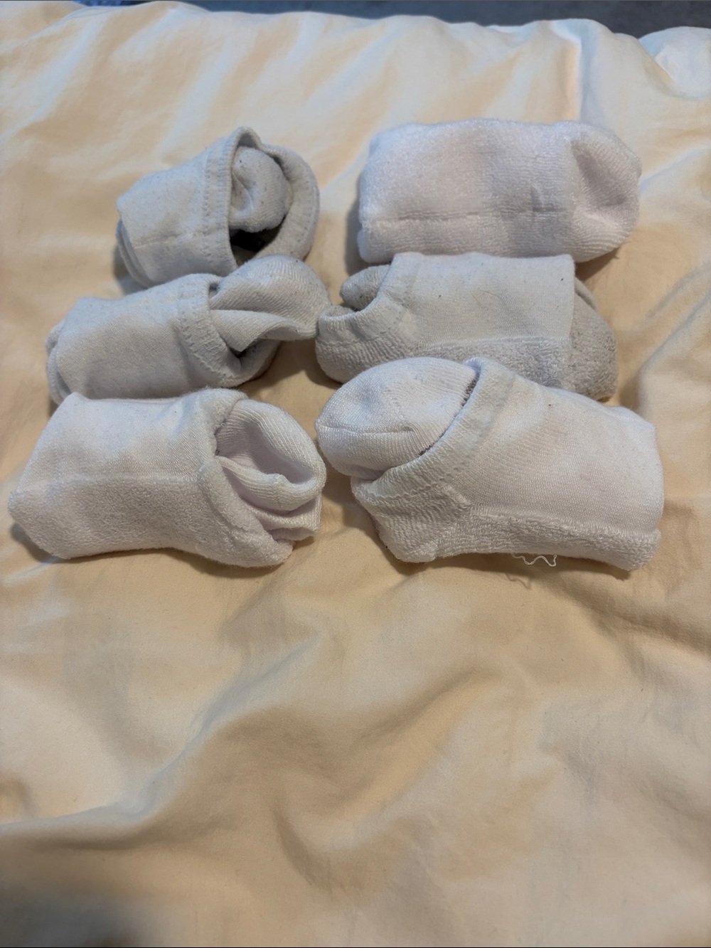 Fruit of the Loom Women's 6 Pack White No Show Socks